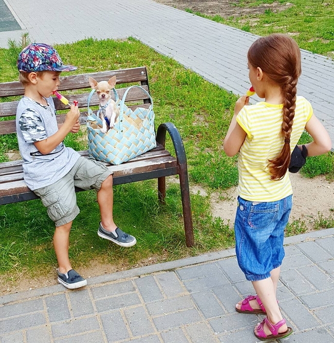 ���� ����� ���������� ����-2 (27.08.2017)