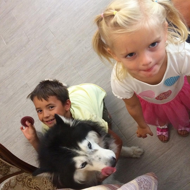 ���� ����� ���������� ����-2 (27.08.2017)