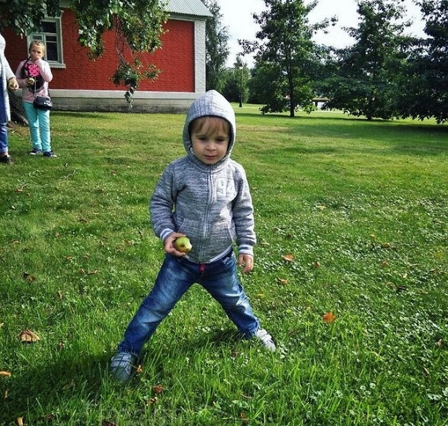 ���� ����� ���������� ����-2 (28.08.2017)