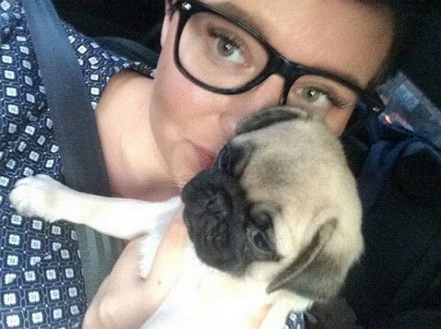 Защитники животных намерены забрать у Черно собаку Защитники животных намерены забрать у Черно собаку