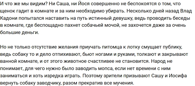 Защитники животных намерены забрать у Черно собаку Защитники животных намерены забрать у Черно собаку