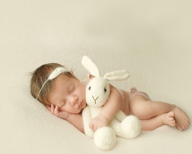 ���� ������ �������������