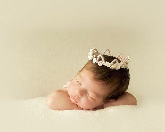 ���� ������ �������������