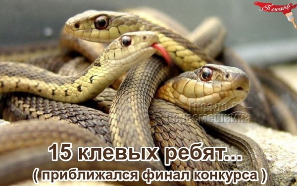 ������� ���-2 (2.09.2017)