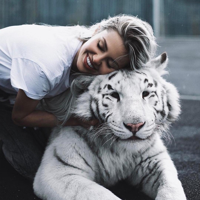 ����� ����� ���: �������� ����