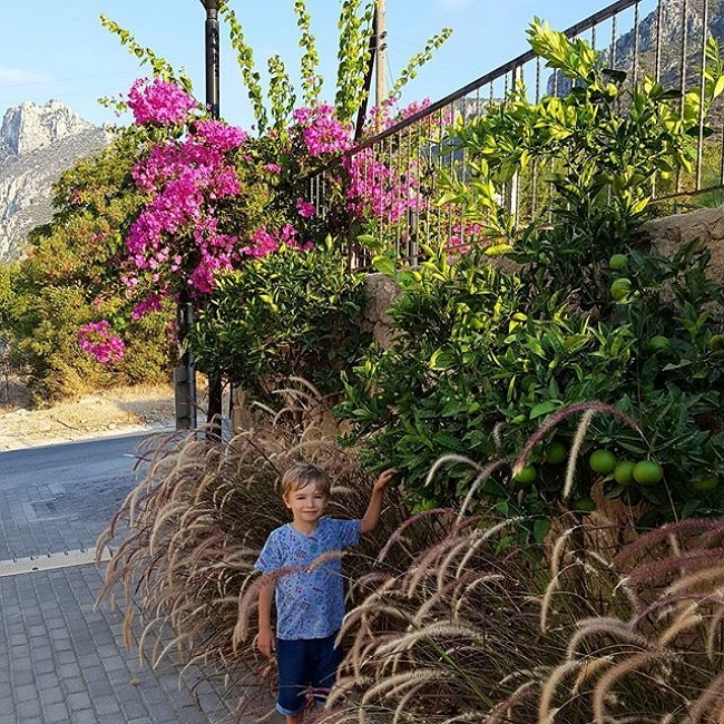 ���� ����� ���������� ����-2 (3.09.2017)