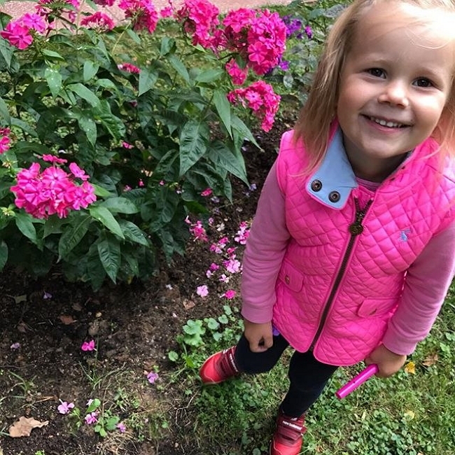 ���� ����� ���������� ����-2 (4.09.2017)