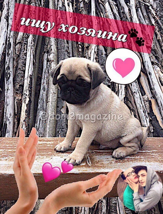 ������� ������� ���-2 (4.09.2017)