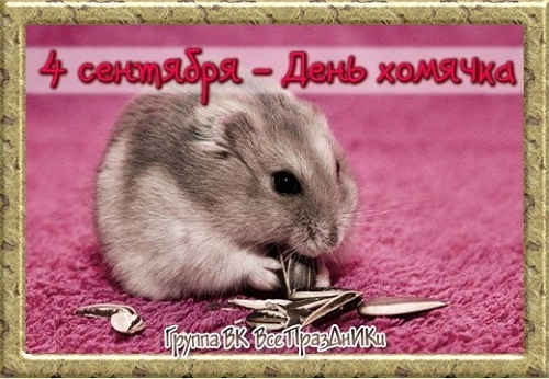 ����� � ����-2 (4.09.2017)