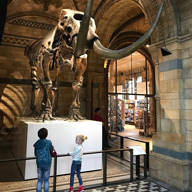 Фототчет с поездки Маргариты Марсо в Париж Фототчет с поездки Маргариты Марсо в Париж