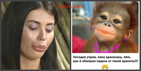 Приколы Дом-2 (10.10.2017) Приколы Дом-2 (10.10.2017)