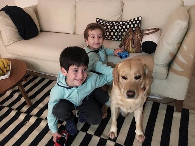 ���� ����� ���������� ����-2 (10.10.2017)