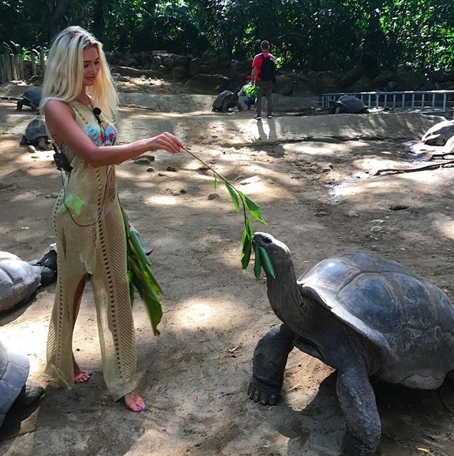 Фото с Сейшел от участников (24.10.2017) Фото с Сейшел от участников (24.10.2017)