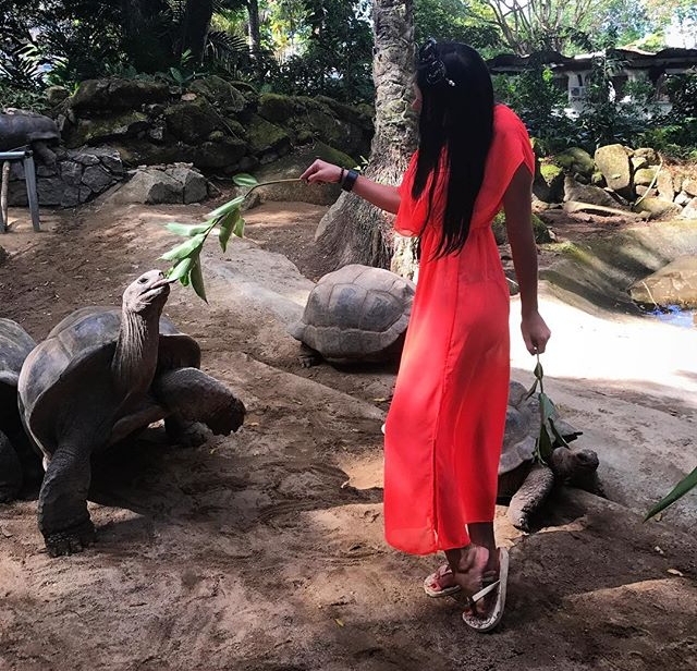 Фото с Сейшел от участников (24.10.2017) Фото с Сейшел от участников (24.10.2017)