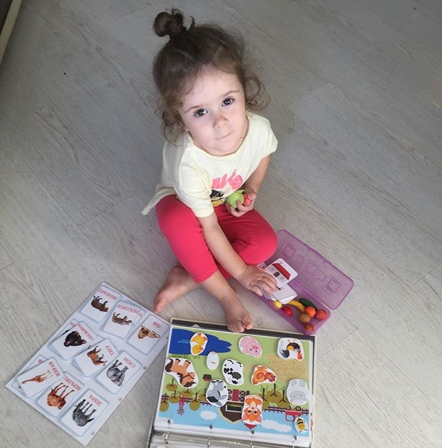 ���� ����� ���������� ����-2 (25.11.2017)