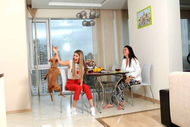 ���� ��������: ���� ������� �������� ������������� ��������