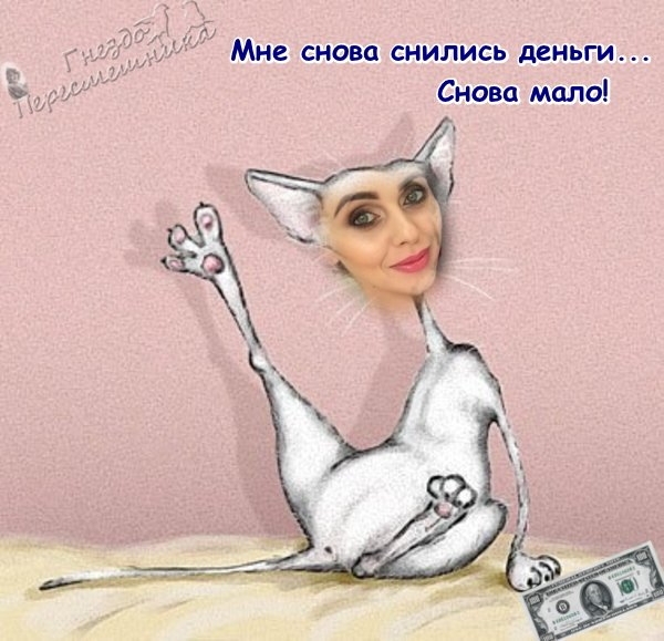 ������� ���-2 (28.11.2017)