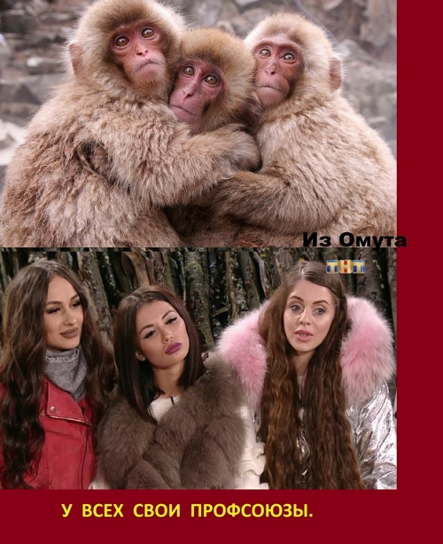 ������� ���-2 (28.11.2017)