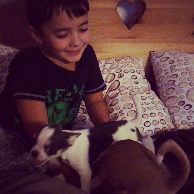 ���� ����� ���������� ����-2 (3.12.2017)