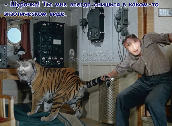 ������� ���-2 (4.12.2017)