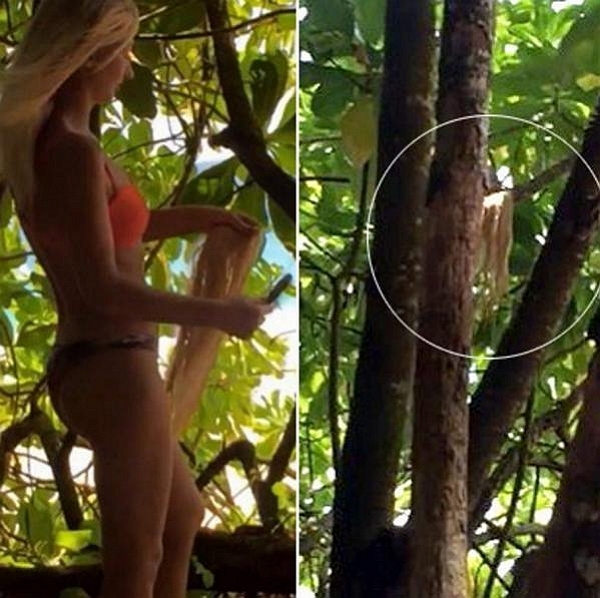 Марго Овсянникову застали врасплох Марго Овсянникову застали врасплох