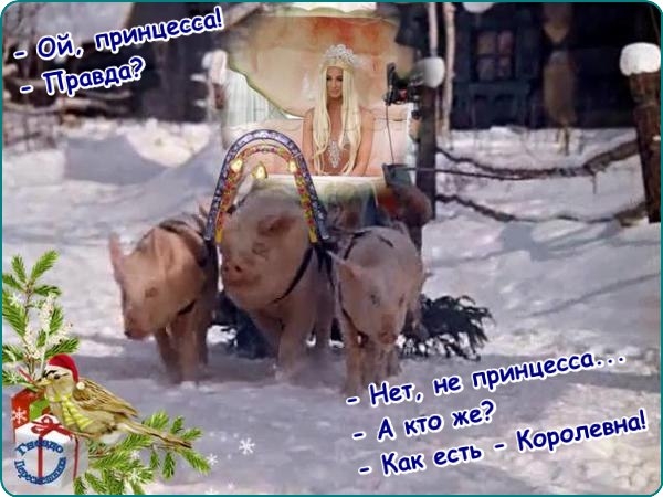 Приколы Дом-2 (3.01.2018) Приколы Дом-2 (3.01.2018)