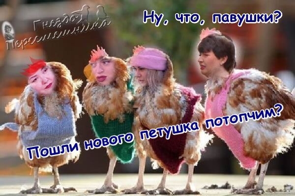 ������� ���-2 (25.01.2018)