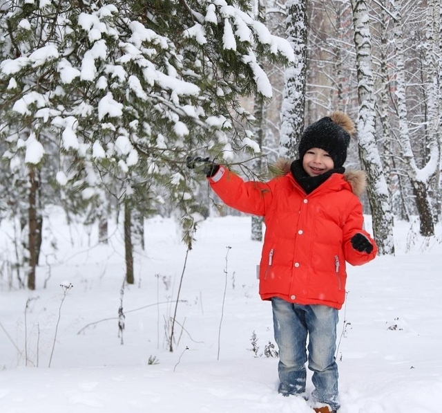 ���� ����� ���������� ����-2 (2.02.2018)