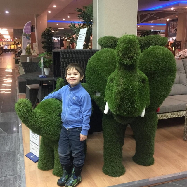 ���� ����� ���������� ����-2 (2.02.2018)