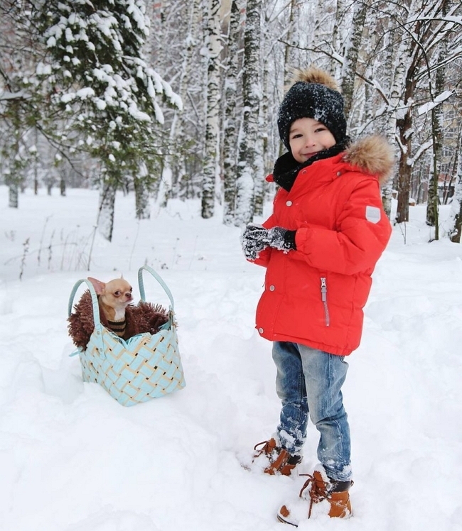 ���� ����� ���������� ����-2 (3.02.2018)