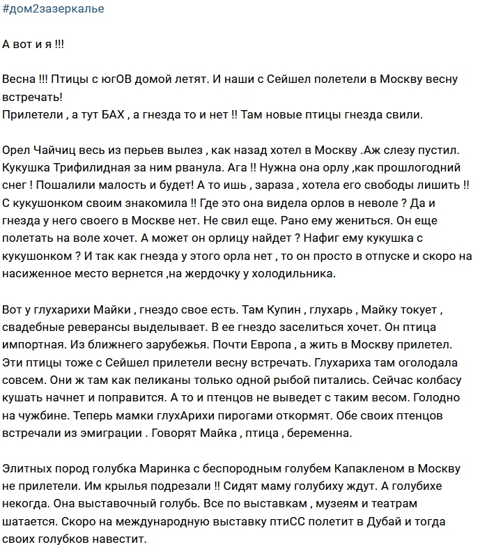 Мнение: Весна, хомякам пора вить гнезда Мнение: Весна, хомякам пора вить гнезда