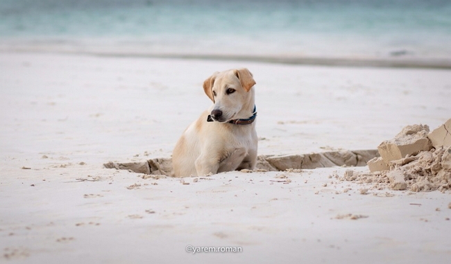 Оксана Ряска: Наш маленький герой! Оксана Ряска: Наш маленький герой!
