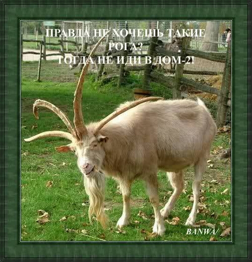 Приколы Дом-2 (30.09.2018) Приколы Дом-2 (30.09.2018)