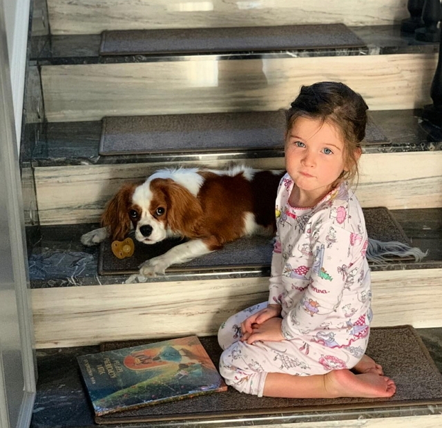 ���� ����� ���������� ����-2 (18.11.2018)