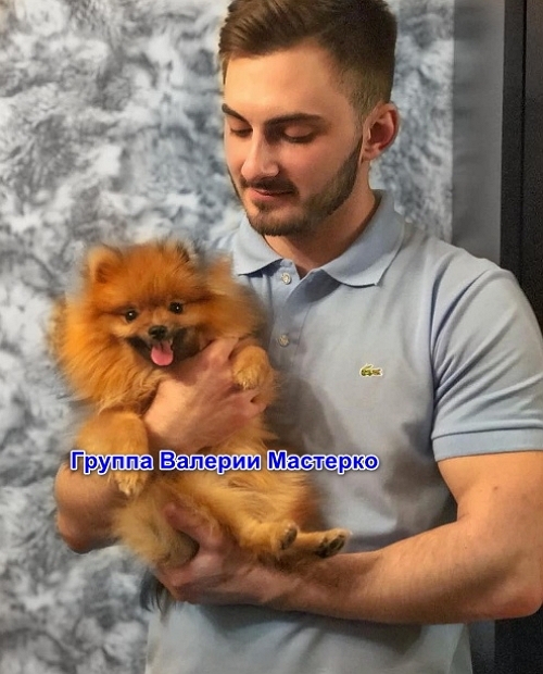 ����� �������� ���� ��������