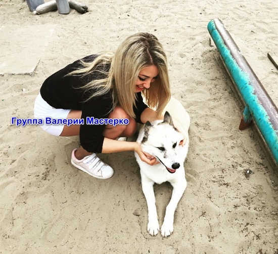 ����� ��������� �������� ������������