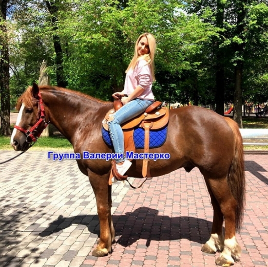 ����� ��������� �������� ������������