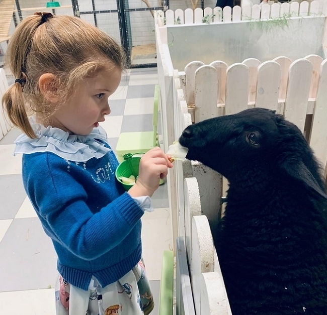 ���� ����� ���������� ����-2 (22.12.2018)