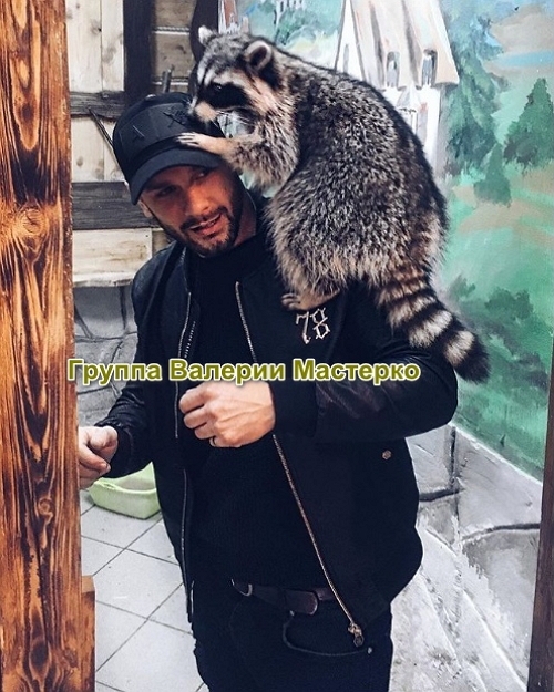 ����� �������� ������ ���������