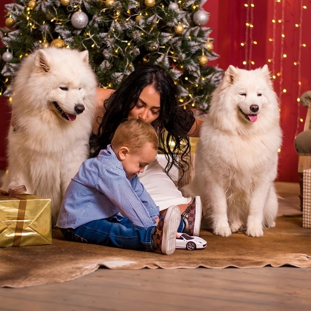 ���� ����� ���������� ����-2 (27.12.2018)