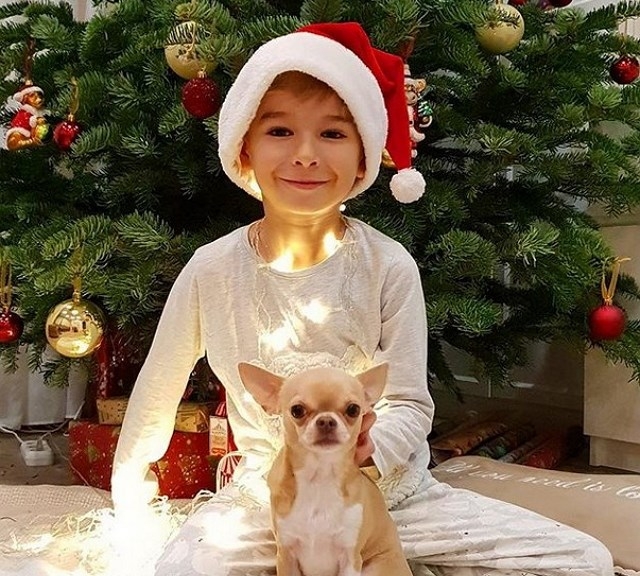 ���� ����� ���������� ����-2 (29.12.2018)