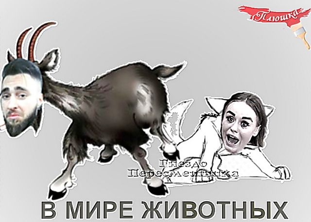 Приколы Дом-2 (9.01.2019) Приколы Дом-2 (9.01.2019)