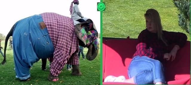 Приколы Дом-2 (9.01.2019) Приколы Дом-2 (9.01.2019)