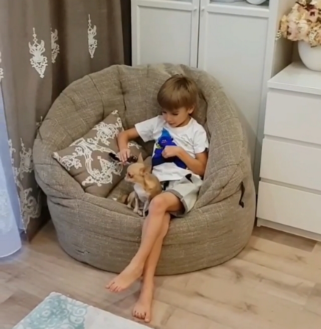 ���� ����� ���������� ����-2 (23.01.2019)