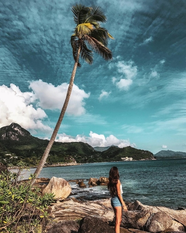 Фото с Сейшел от участников (24.01.2019) Фото с Сейшел от участников (24.01.2019)