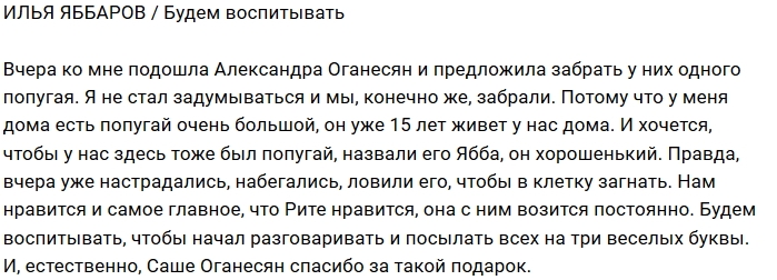 Илья Яббаров: Мы забрали попугая Илья Яббаров: Мы забрали попугая