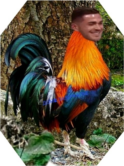 Приколы Дом-2 (29.01.2019) Приколы Дом-2 (29.01.2019)