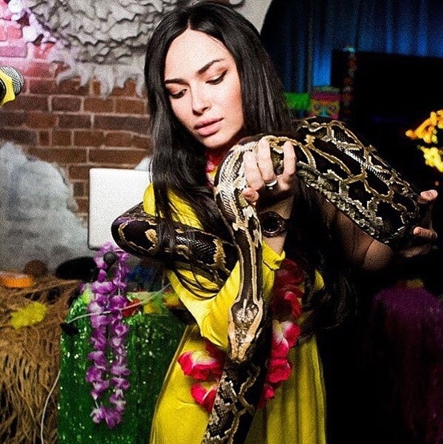 ����� ����� ���: ��������� ���������