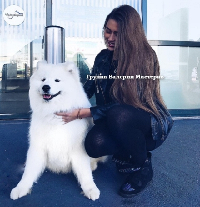 ����� ��������� ��������� ������� �������