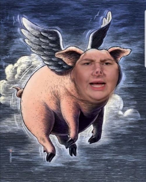 ������� ���-2 (21.06.2019)